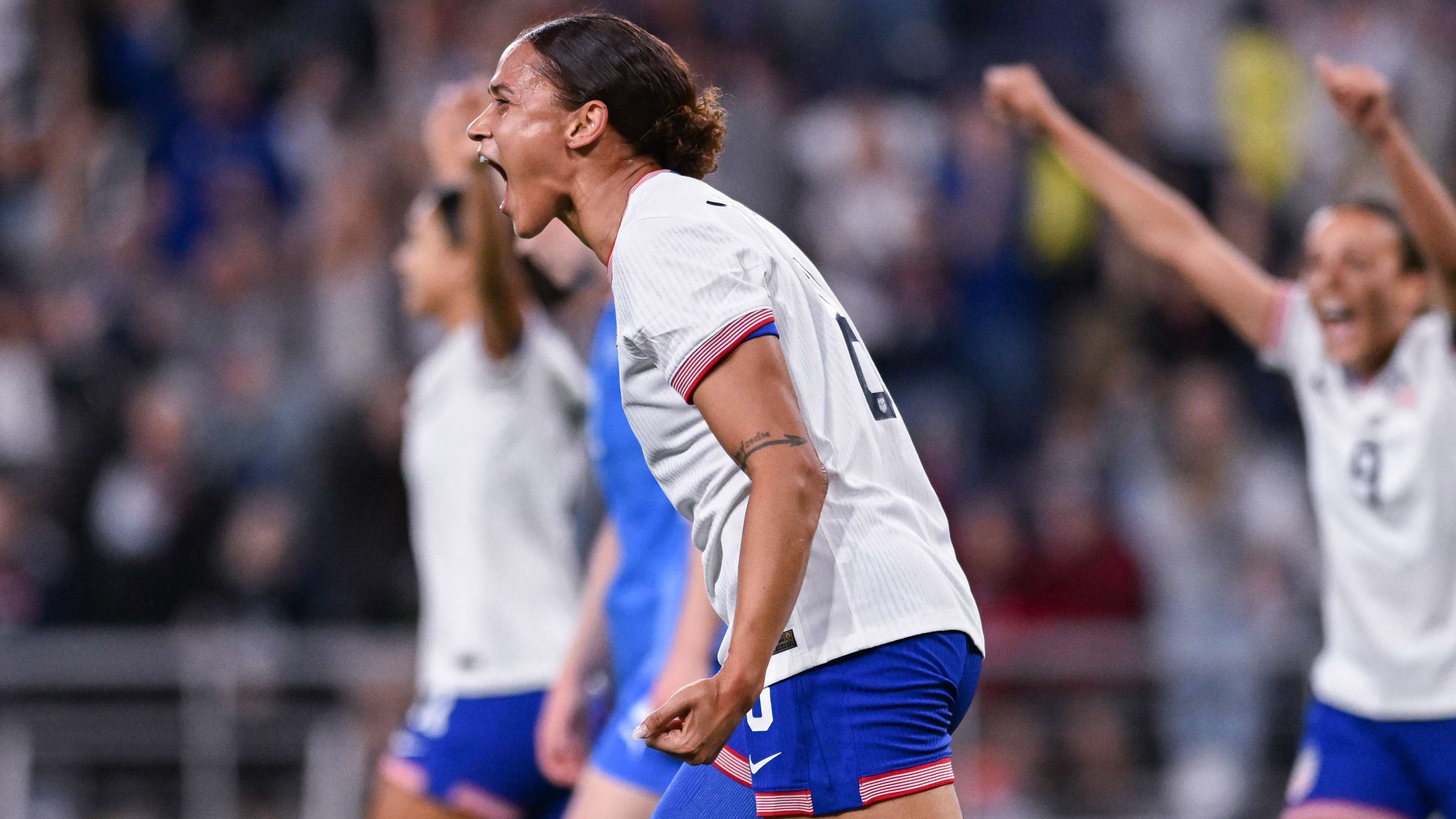 芳卉的组合 芳卉的组合